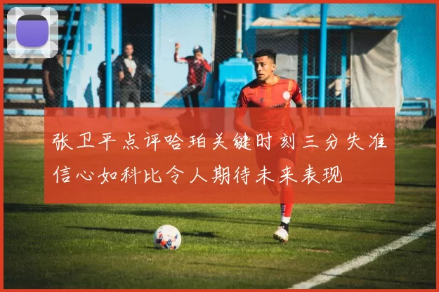 张卫平点评哈珀关键时刻三分失准信心如科比令人期待未来表现